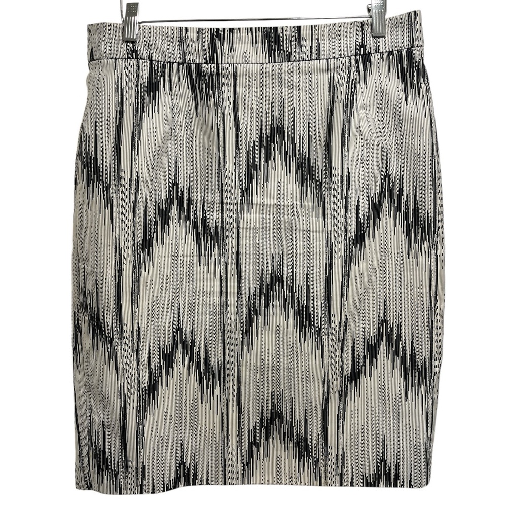 J. Crew Skirt
